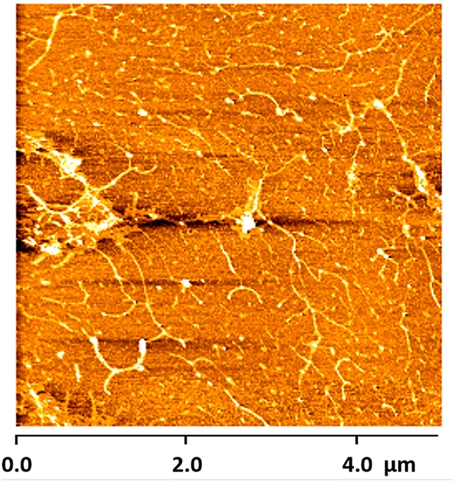 Cover image for Development of a quartz crystal microbalance biodetector based on cellulose nanofibrils (CNFs) for glycine