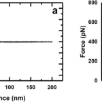 Figure from: Probing fibronectin adsorption on chemically defined surfaces by means of single molecule force microscopy