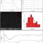 Figure from: Signal amplification of a quartz crystal microbalance immunosensor by gold nanoparticles-polyethyleneimine for hepatitis B biomarker detection