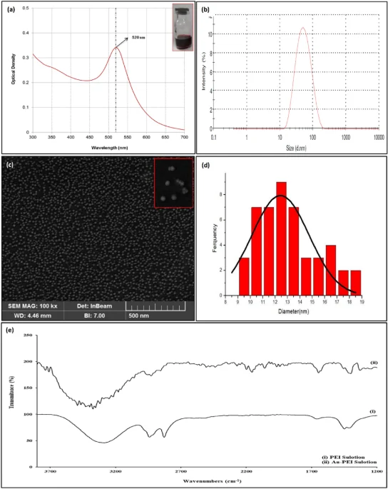 Cover image for Signal amplification of a quartz crystal microbalance immunosensor by gold nanoparticles-polyethyleneimine for hepatitis B biomarker detection