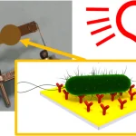 Figure from: Piezoelectric biosensors: shedding light on principles and applications
