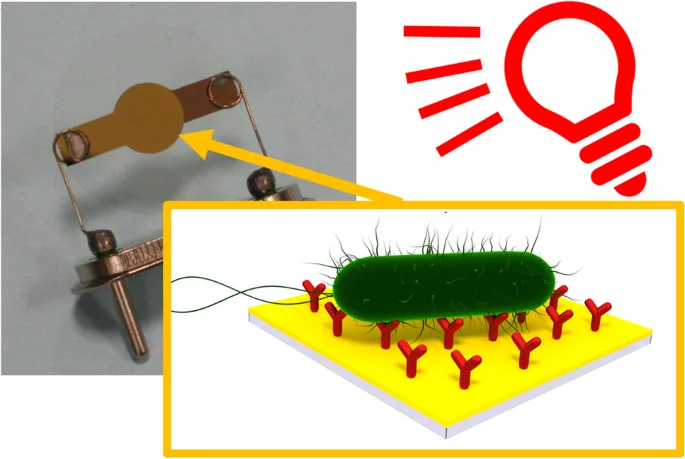Cover image for Piezoelectric biosensors: shedding light on principles and applications