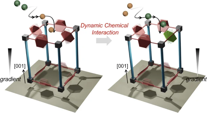 Cover image for Steering diffusion selectivity of chemical isomers within aligned nanochannels of metal-organic framework thin film