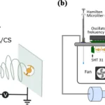 Figure from: Investigation of the Multiple Doping of Citric Acid and Chitosan in Nanofiber for Enhancement of a Quartz Crystal Microbalance-Based Ammonia Sensor
