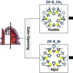 Figure from: π-Quadrupole-driven gate-opening in ZIFs for selective VOC capture