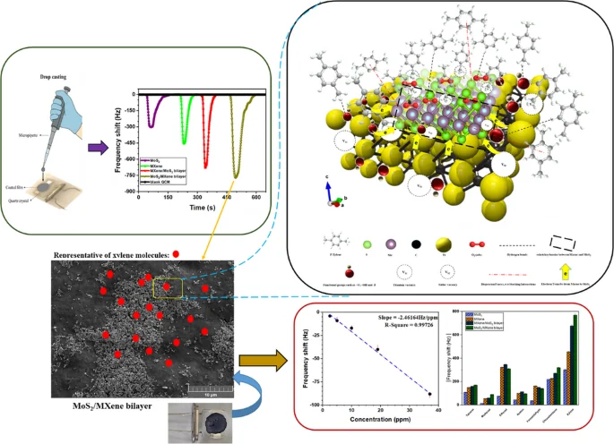 Cover image for MoS2/MXene bilayer quartz crystal microbalance sensor with enhanced sensitivity and selectivity for room-temperature xylene detection