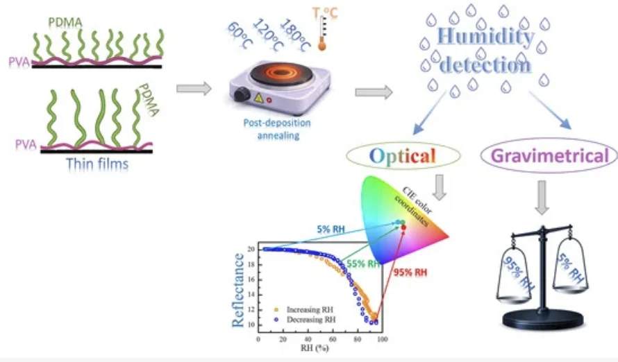 Cover image for Postannealing-Driven Optimization of Humidity Response in Densely and Loosely Grafted Polymer Films