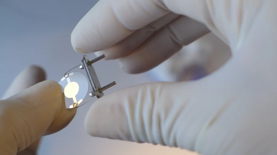 The crystal and its clip holder